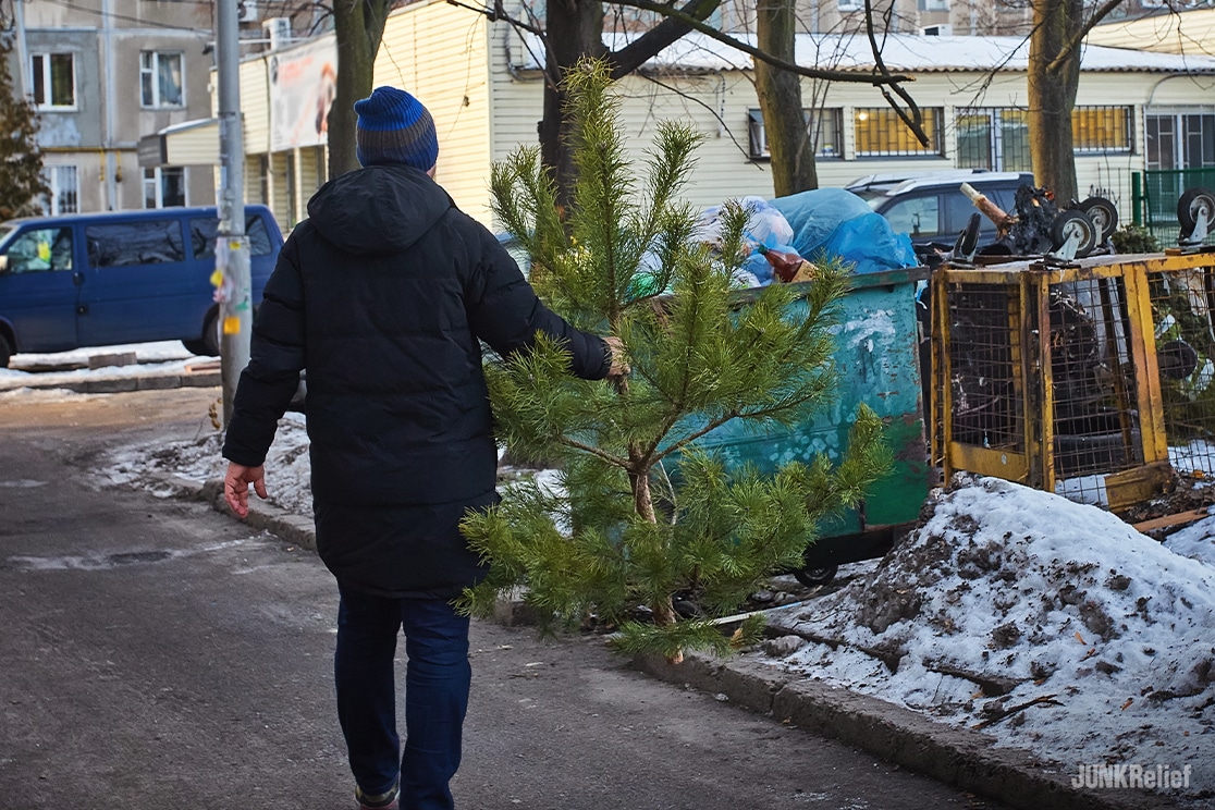 Disposing of a Christmas Tree