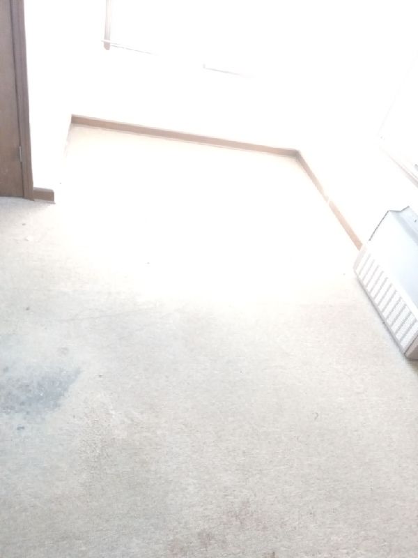 Before: stained carpet in a bedroom