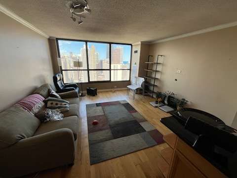 Before: the living room with couch, rug, chair and treadmill