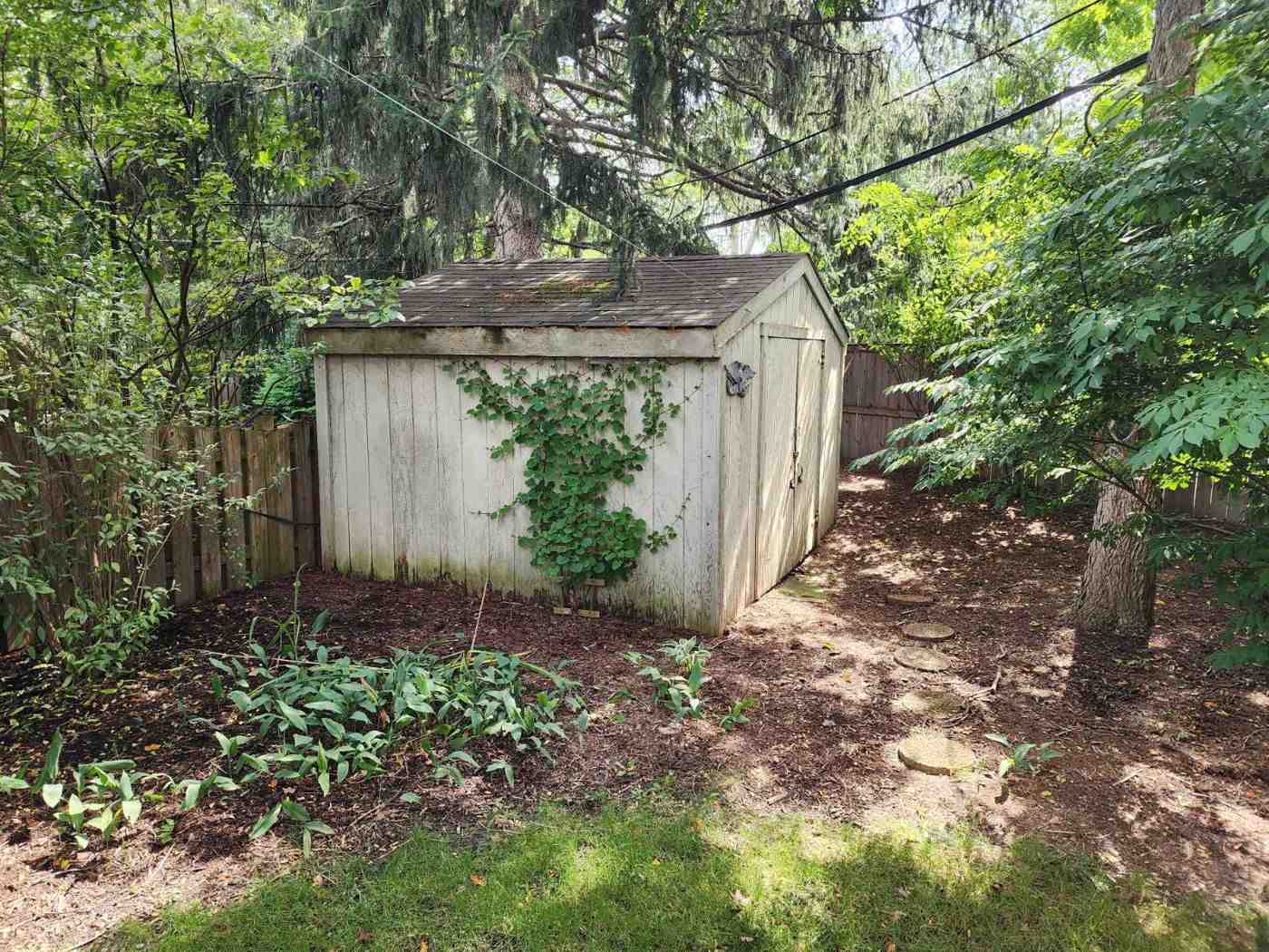 Before: the 10x12 plywood shed with shingled roof, ivy climbing the wall
